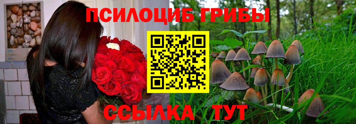 Галлюциногенные грибы GOLDEN TEACHER Ульяновск